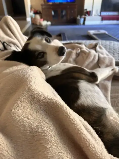 Jack #11 photo 4