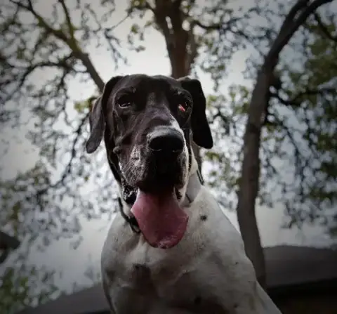 Laverne photo 2