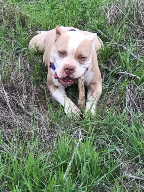 Zeus  **Courtesy Listing** photo 3