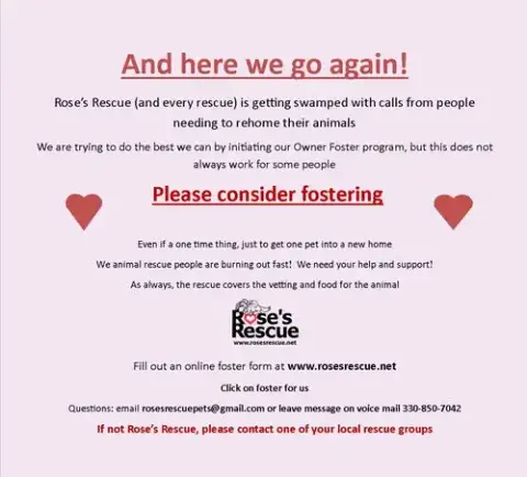**Fosters Needed!