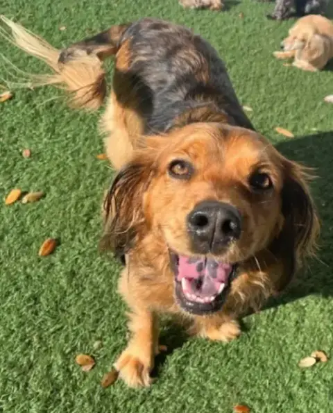 Penny In Ri photo 4