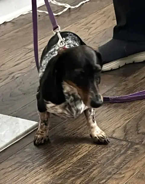 Rudy In Ga photo 4