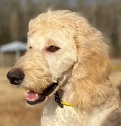 Chloe Feb 26 photo 5