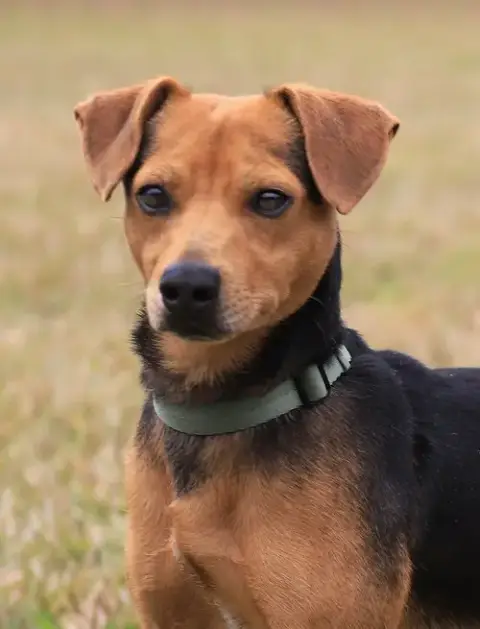 Ernie photo 1