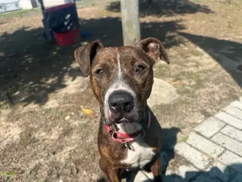 Molly