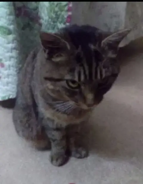 Sybil photo 3