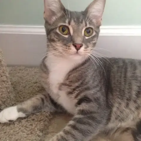 Buster photo 5