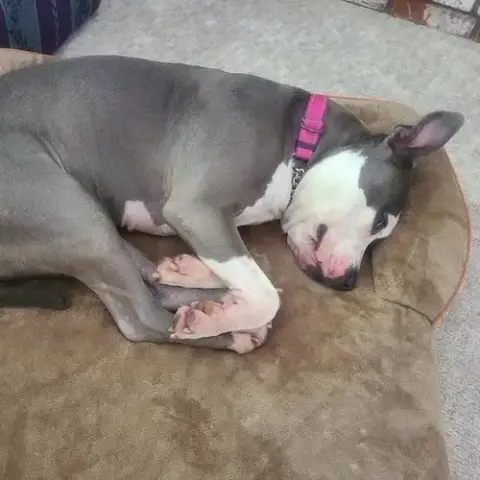 Peggy photo 5