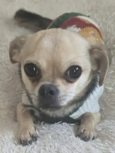 Courtesy Post: Timmy