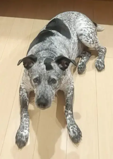 Maya photo 2