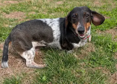 Rudy In Ga photo 5