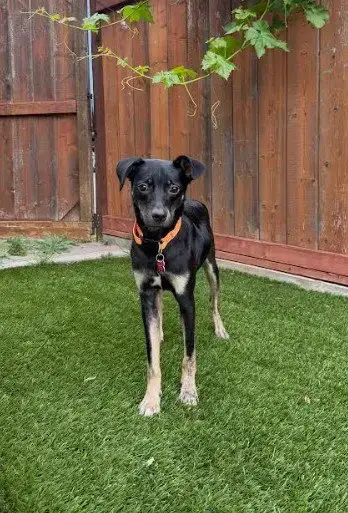 Kali photo 3