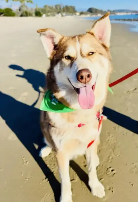 Jonah