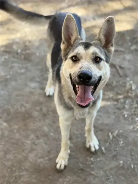 Luna