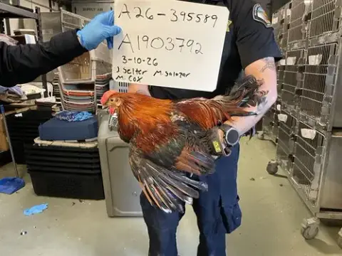 A1903792