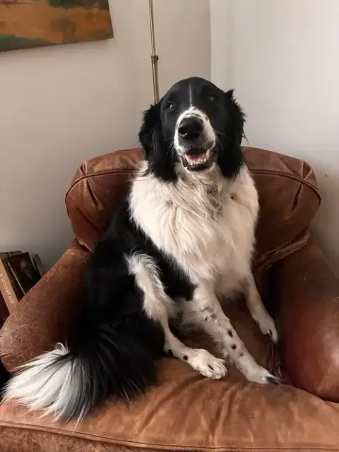Casey **Courtesy Post**