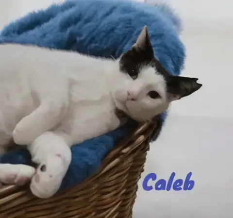Caleb photo 2