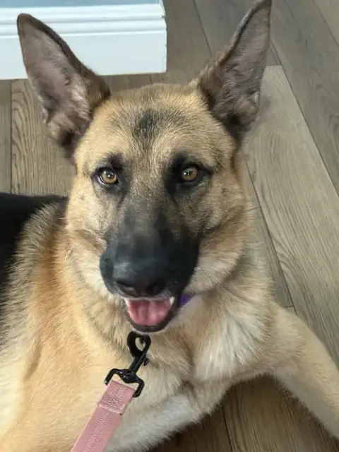 Kira photo 2