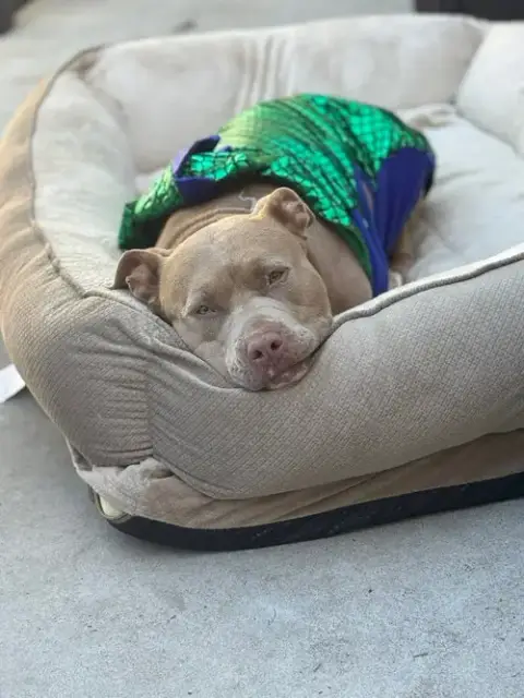 Khloe photo 3