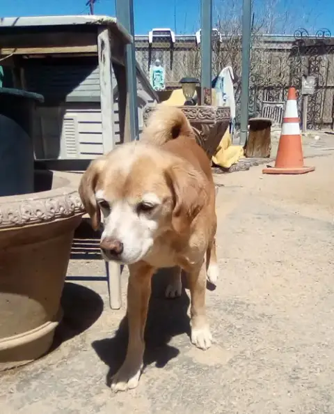 Sammy-His Bff Is Roomy photo 5