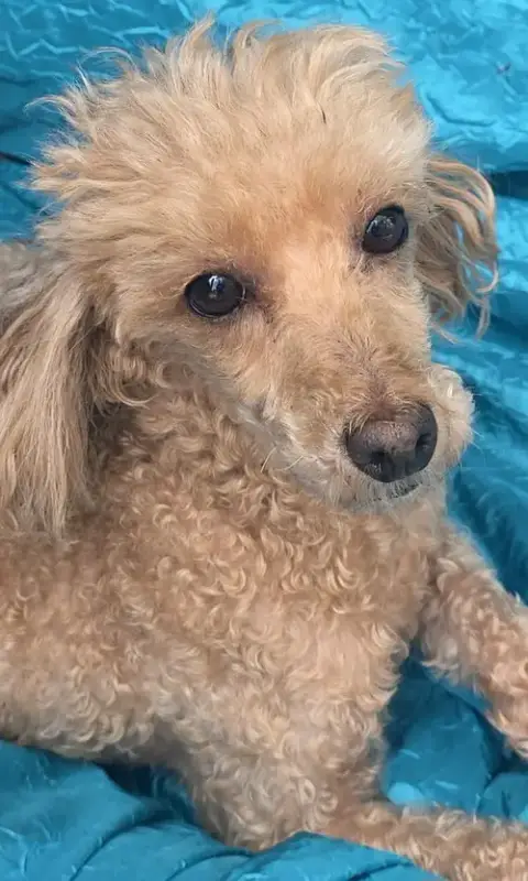Maggie photo 2