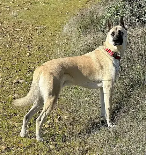 Titus photo 2