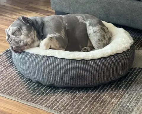 Mabel photo 5