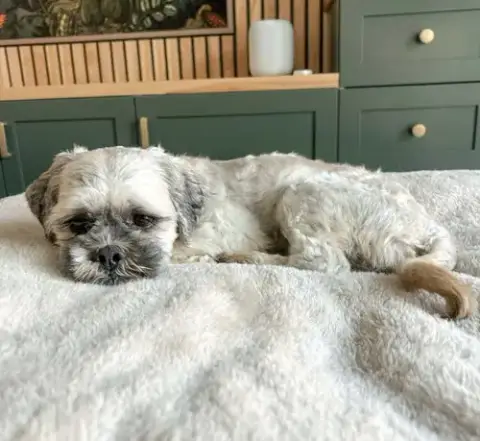 Oskar photo 5