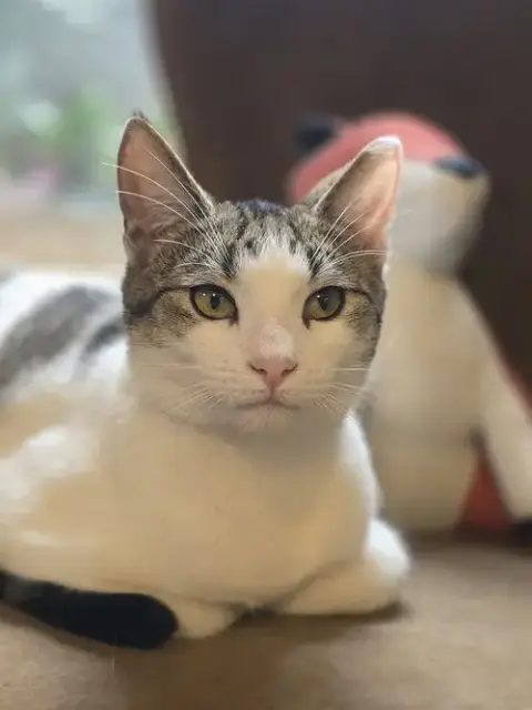 Kitty Taylor photo 1