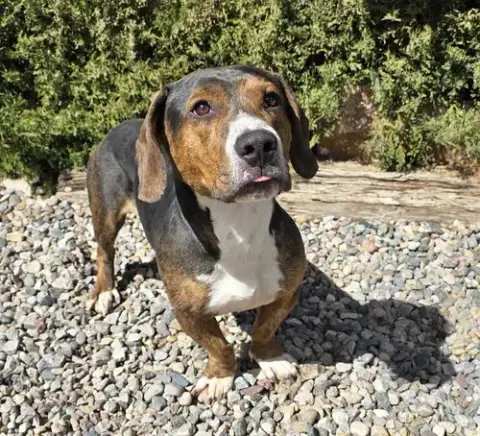 Polite Mr Poco ~ ​Lovely Boy photo 3