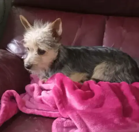 Millie In Tx photo 4