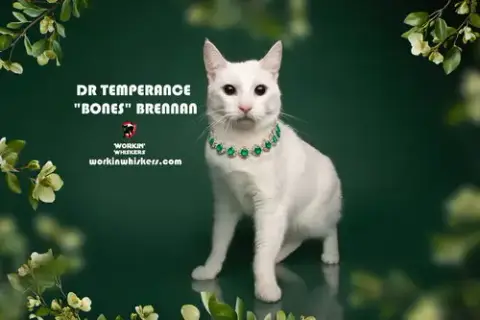 Dr Temperance "Bones" Brennan photo 2