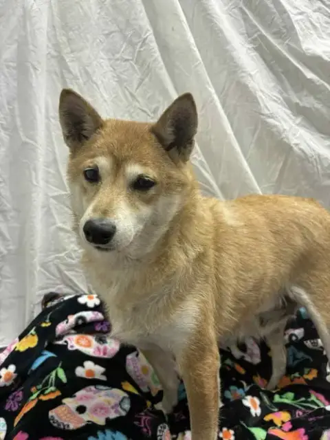 Nakita photo 2