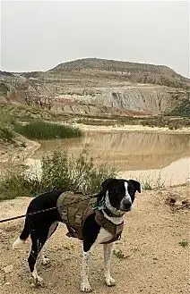 Lola photo 4
