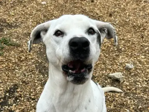 Marley