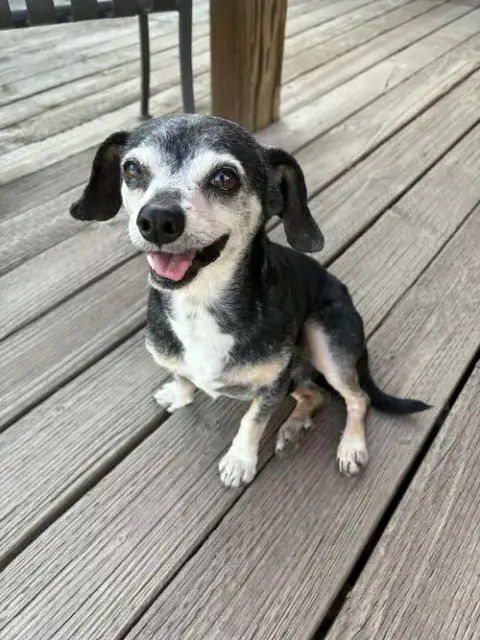 Norman