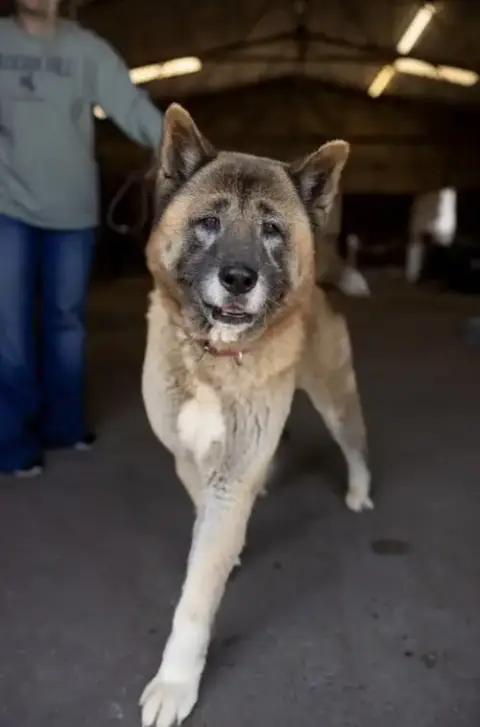 Boris