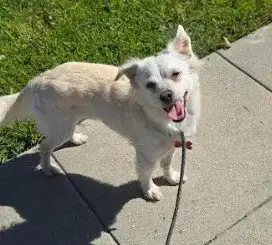 Ernie photo 5
