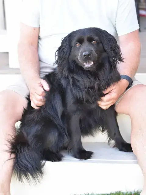 Sasha photo 5