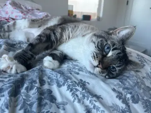 Beverly