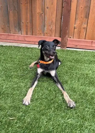 Kali photo 2