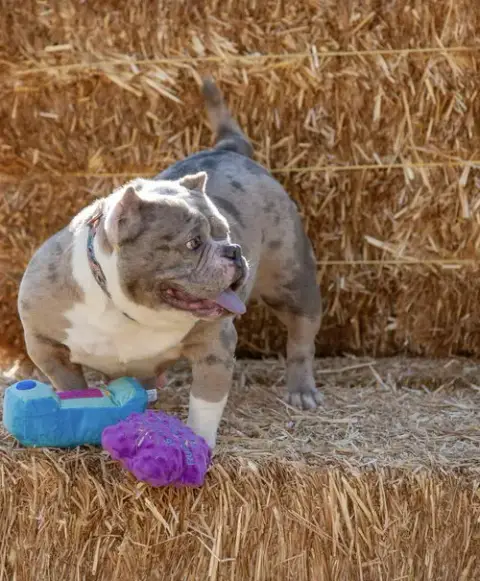 Macy Mae photo 4