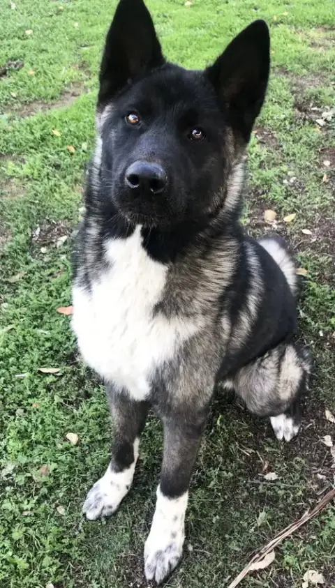 Micah photo 2