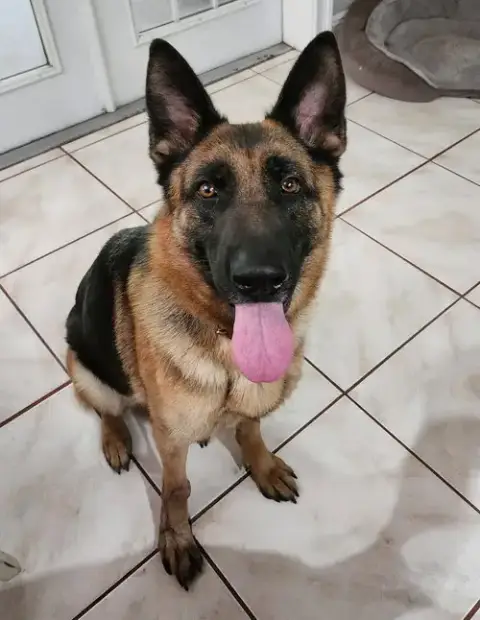 Mila photo 2