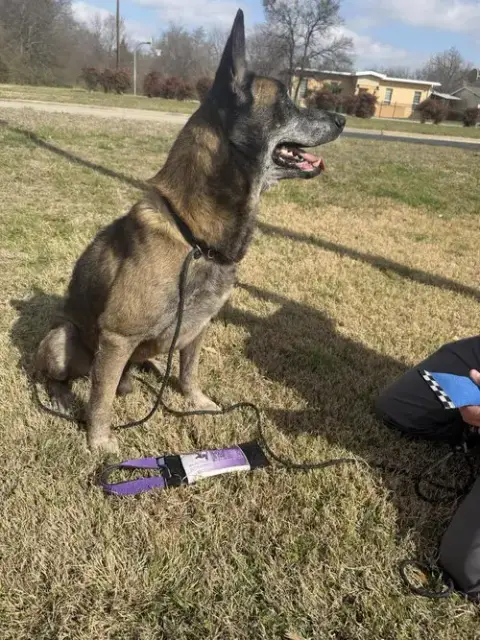 Clyde- Located In Oklahoma photo 3