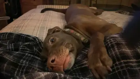 Ella Mae Roo photo 2