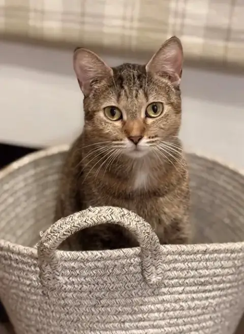 Valerie