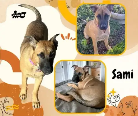 Sami