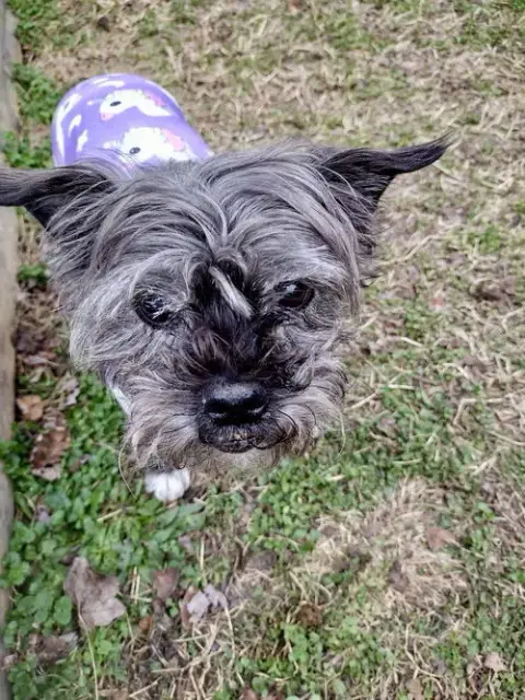 Sadie