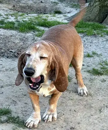 Fred photo 4